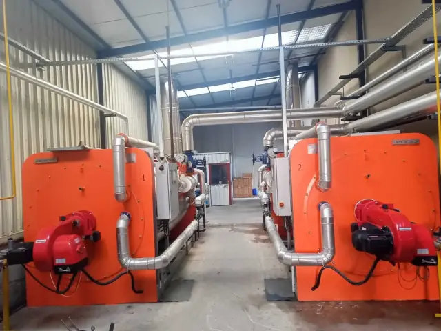 Espiole Buhar Jeneratörü Projesi