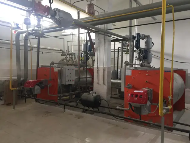 Jenesis Tesis Kurulumu